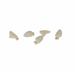 Polycarbonate Crowns #27 5/pk. - Osung USA