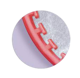TLOC Triple Tray Anterior 28/bx. - Premier