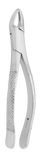 Extracting Forceps #151 S Universal Incisor, Bicuspid, Lower, Pediatric - J&J Instruments - Osung USA