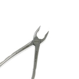 Adult Extraction Forcep, Lower 321-123