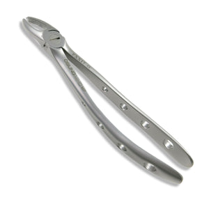Adult Extraction Forcep, FXX17 - Osung USA