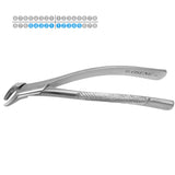Osung #151 Lower Incisors Canines Premolars Dental Extraction Forceps Premium -FX151 - Osung USA
