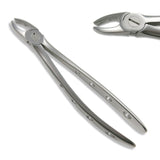 Adult Extraction Forcep, FXX18 - Osung USA