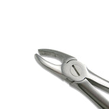 Adult Extraction Forcep, FXX18 - Osung USA