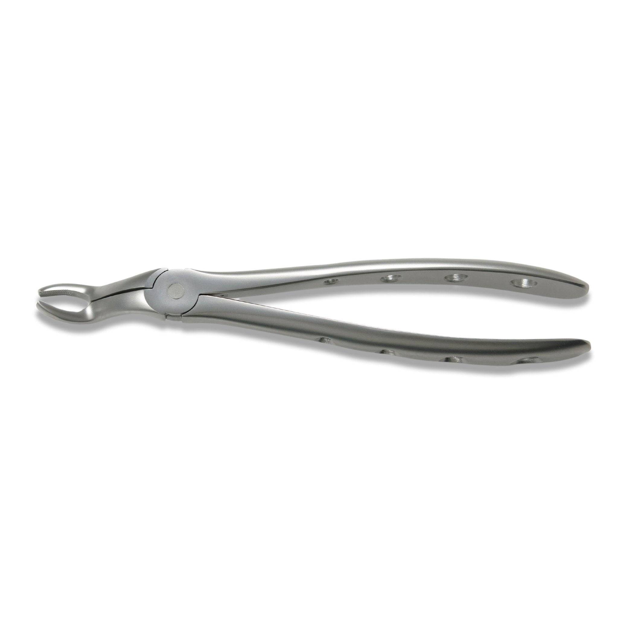 Adult Extraction Forcep, FXX67A | Osung USA