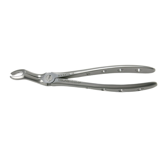 Adult Extraction Forcep, FXX67A - Osung USA