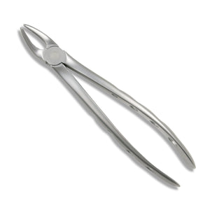 Adult Extraction Forcep, FXX7 - Osung USA