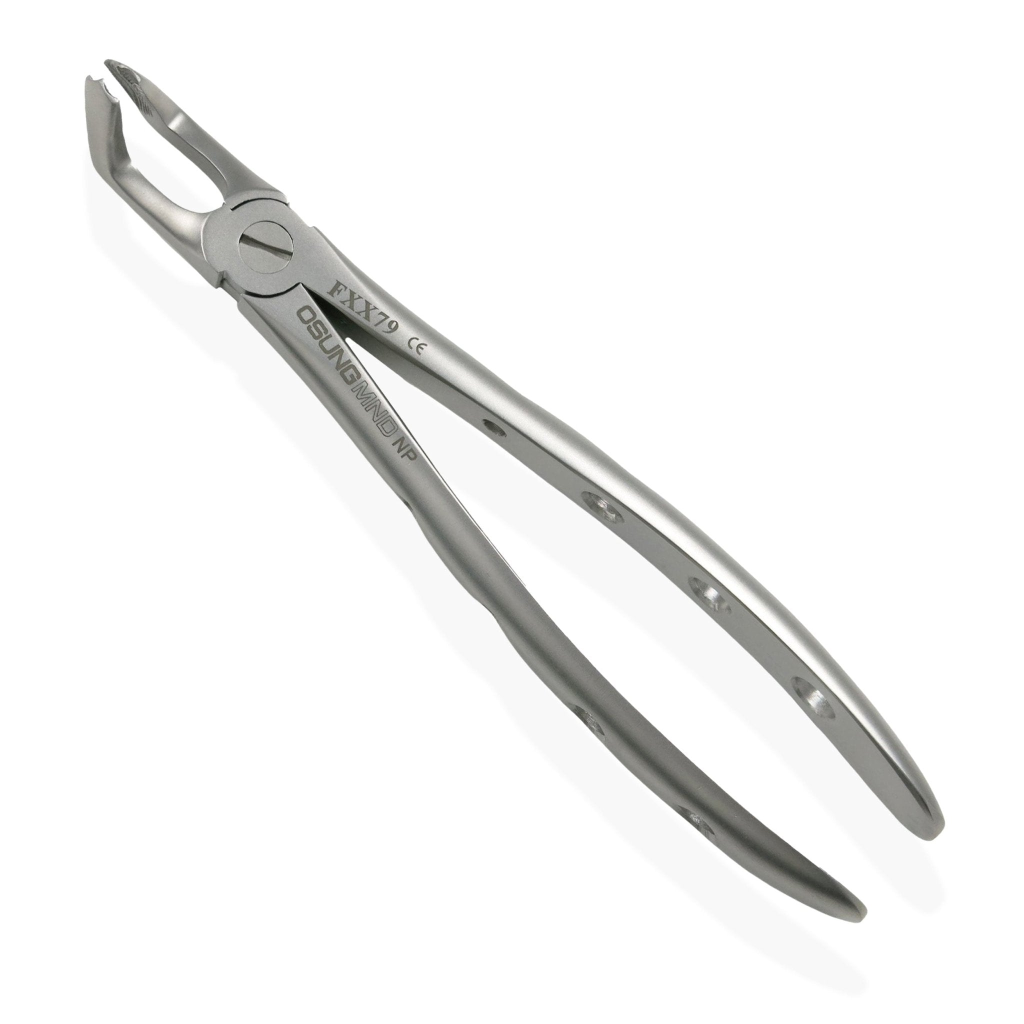 Adult Extraction Forcep, FXX79 | Osung USA