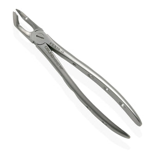 Adult Extraction Forcep, FXX79 - Osung USA