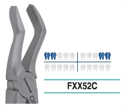 Adult Extraction Forcep, Upper 765 - 567 - Osung USA