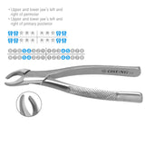Osung #101 Premolars Dental Extraction Forceps Premium -FX101 - Osung USA