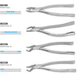 Osung Dental Extraction Forceps Kit | Set of 11 | N-112