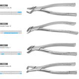 Osung Dental Extraction Forceps Kit | Set of 11 | N-112